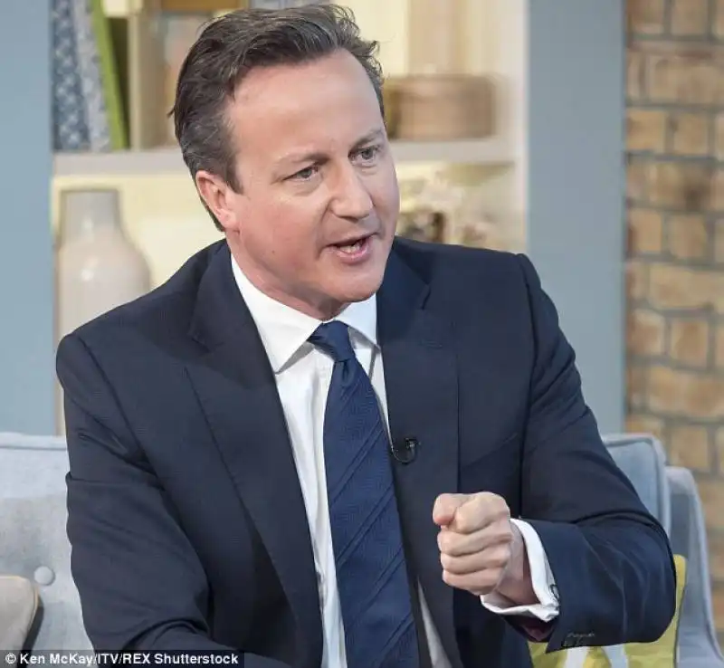 il primo ministro inglese david cameron