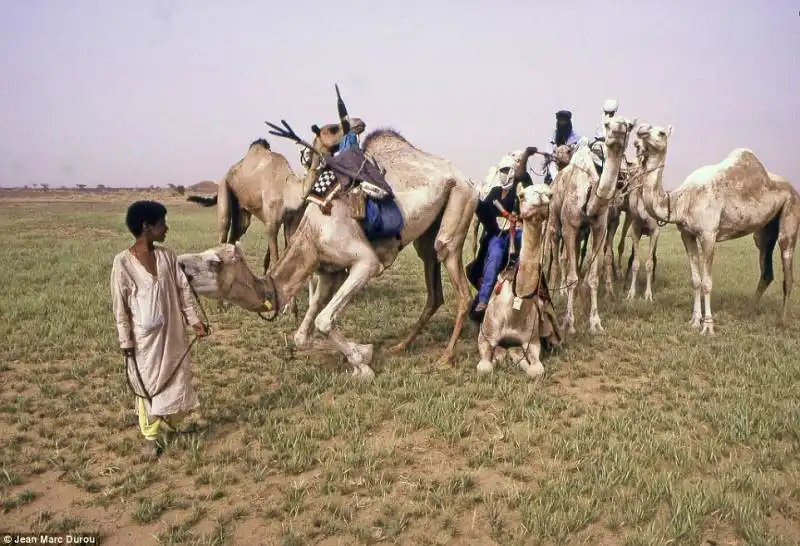 le donne tuareg sono proprietarie di casa e animali