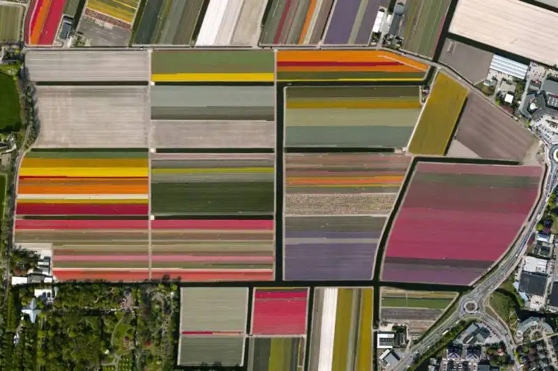 lisse, netherlands