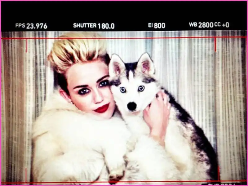 miley e floyd