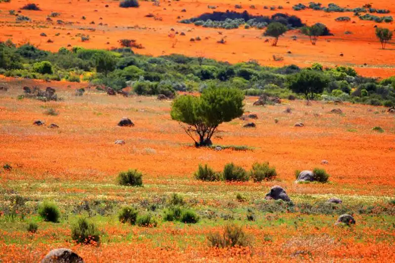 namibia