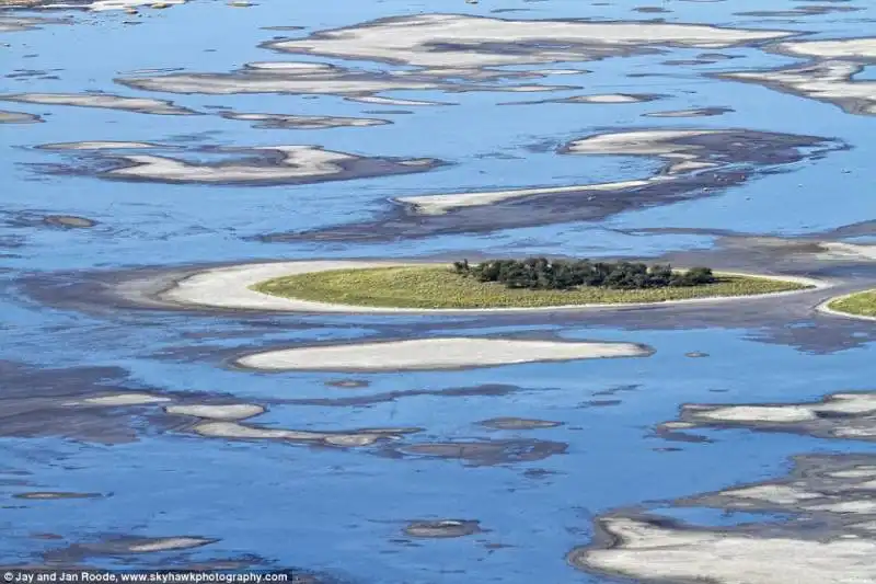 parco nazionale nxai pan, botswana