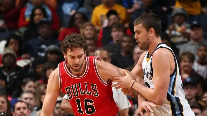 pau e marc gasol