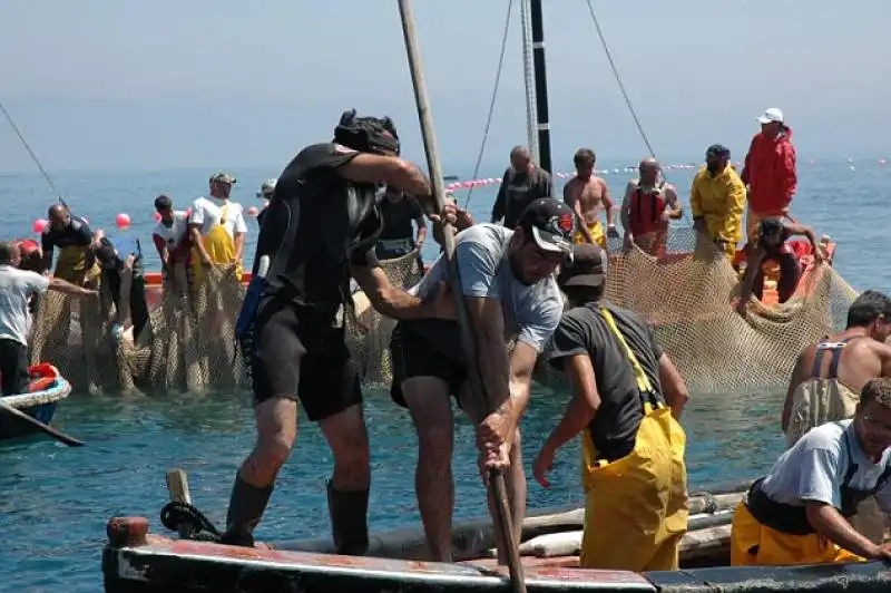 pesca nella camera della morte