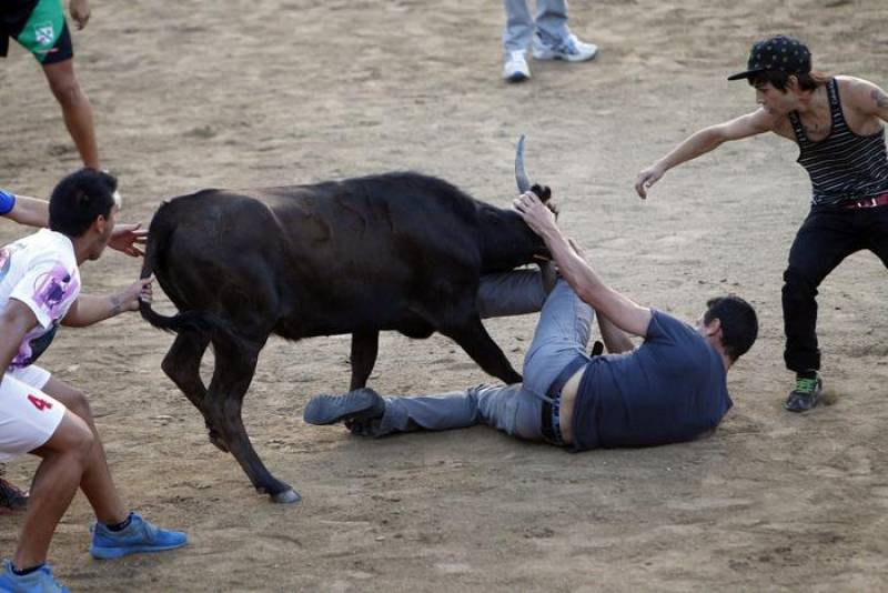 Uomo incornato e ucciso da un toro in encierro