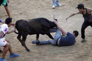 Uomo incornato e ucciso da un toro in encierro