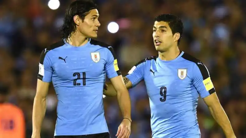 cavani suarez