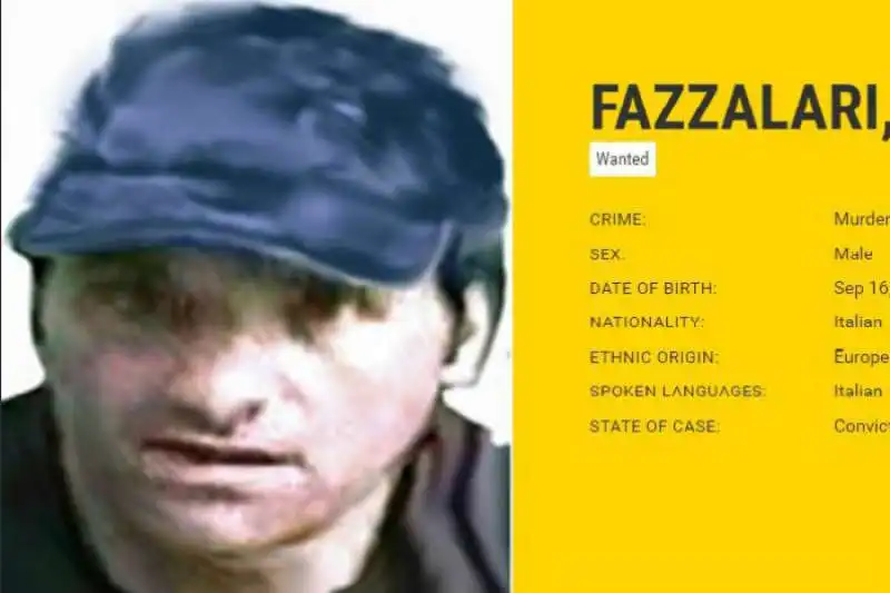 FAZZALARI 