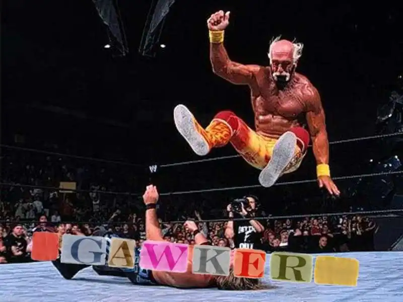 hulk hogan gawker