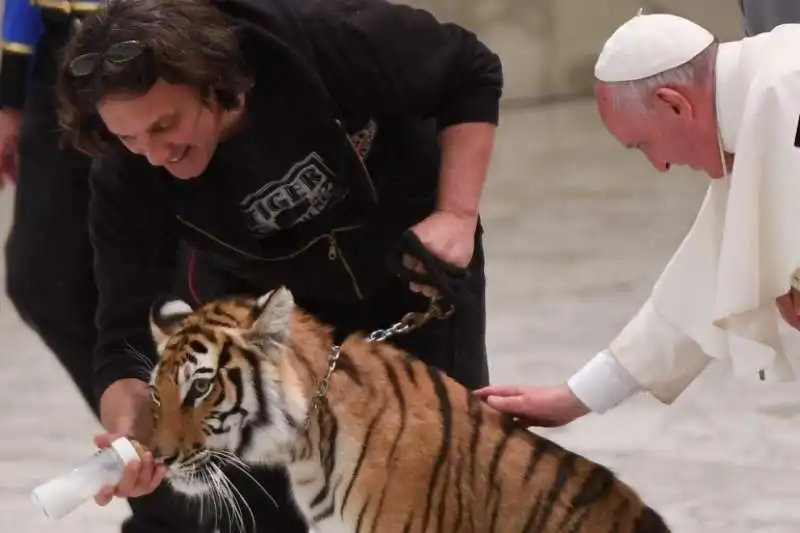 papa bergoglio accarezza la tigre 4