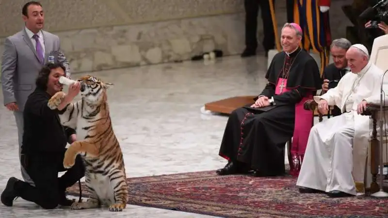 papa bergoglio e la tigre  3