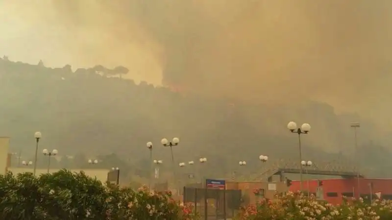 scirocco e fiamme in provincia di palermo   1