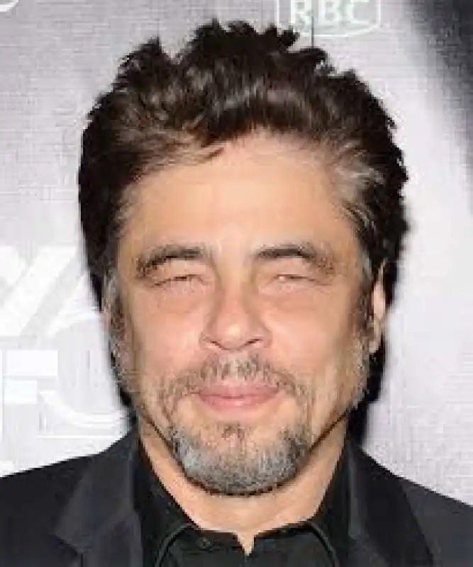 benicio del toro