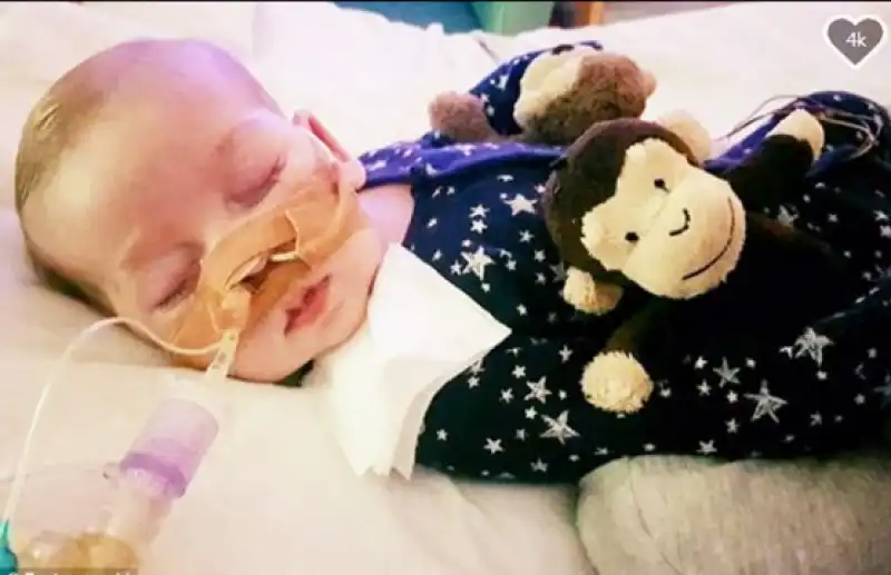 charlie gard 6