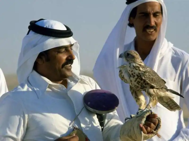 FALCONIERI QATARINI 