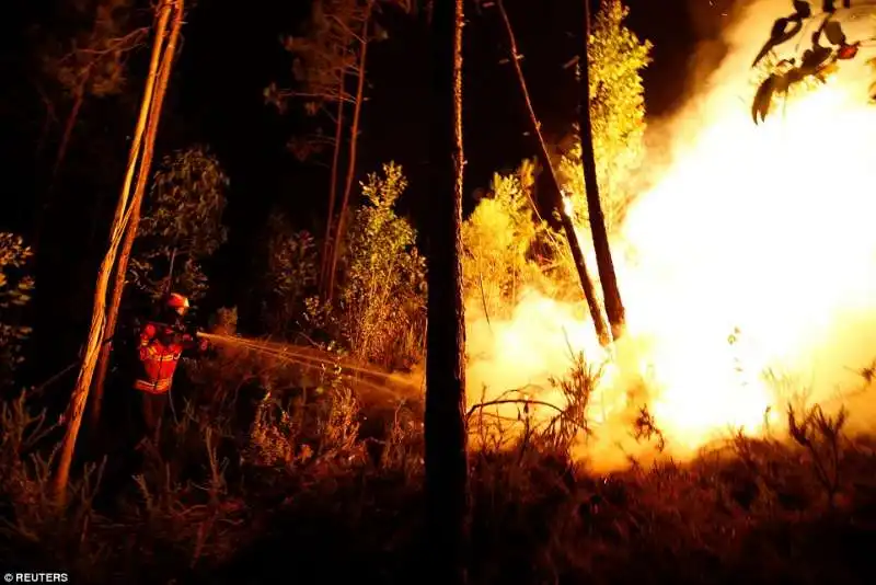 portogallo  incendi a pedrogao