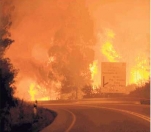 PORTOGALLO INCENDIO