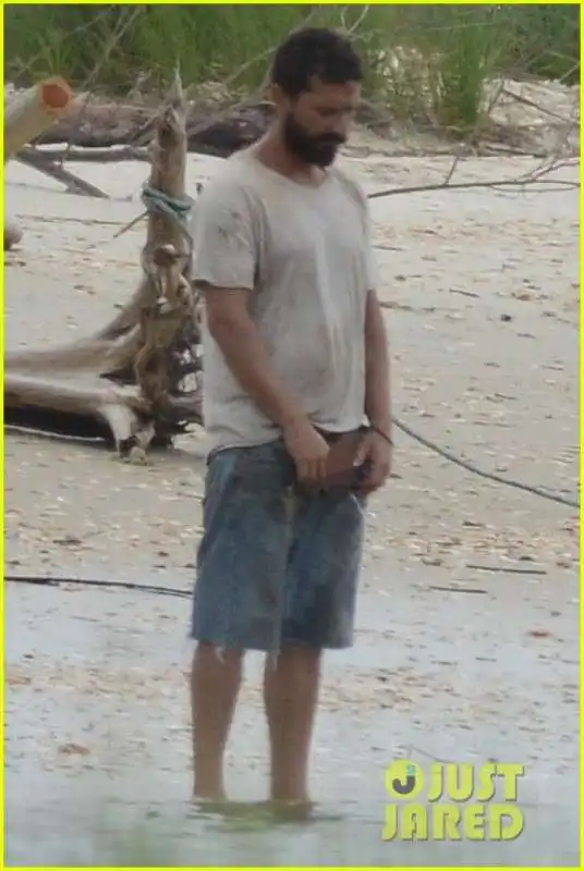 shia labeouf in pausa