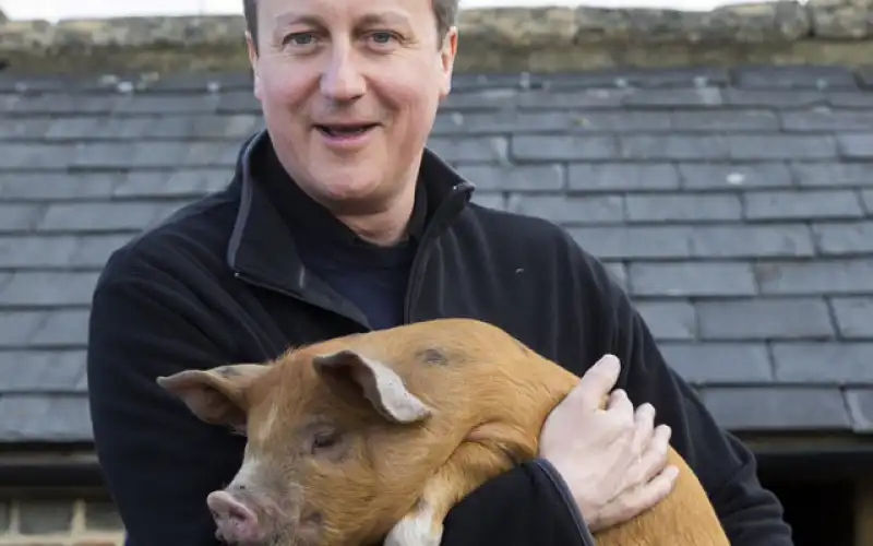 uk david cameron piggate