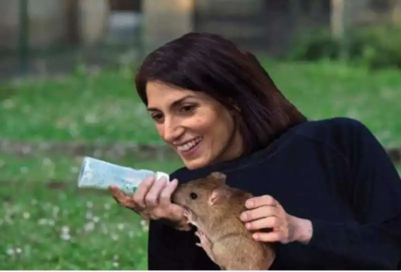 virginia  raggi e i ratti