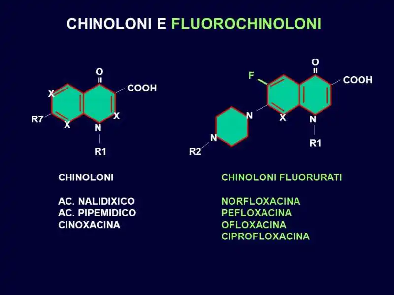 antibiotici chinoloni