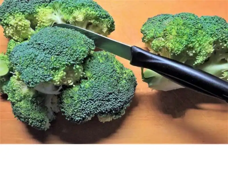 broccoli