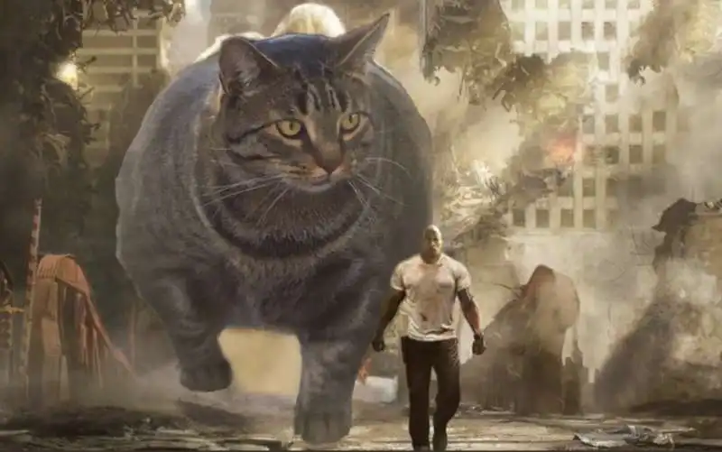 catzenegger il gatto super muscoloso 6