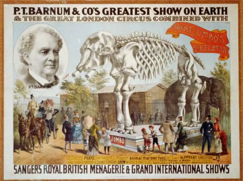 il circo barnum 