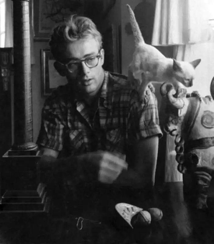 james dean e il suo gatto marcus