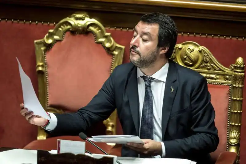 matteo salvini al senato 2