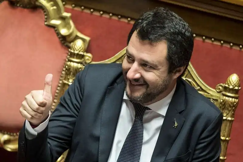 matteo salvini al senato 3