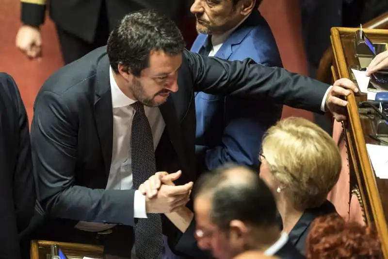 matteo salvini al senato 4