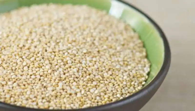 quinoa