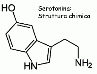 serotonina