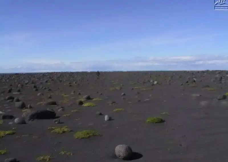 surtsey 8