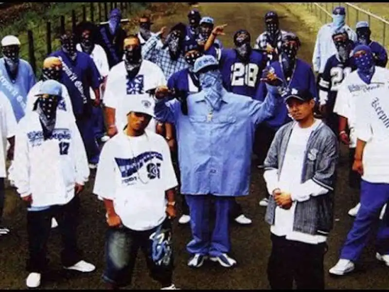 crips gang a los angeles 2