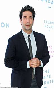 david schwimmer ross di friends