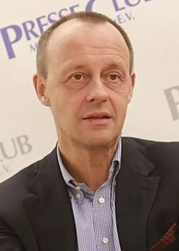 friedrich merz 