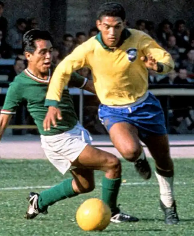 garrincha