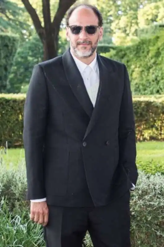 luca guadagnino 