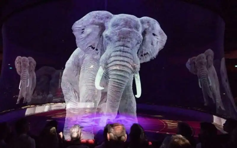 ologrammi di animali al circo 6