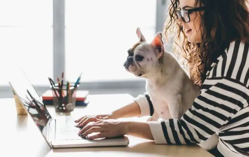 animali sul posto di lavoro 10