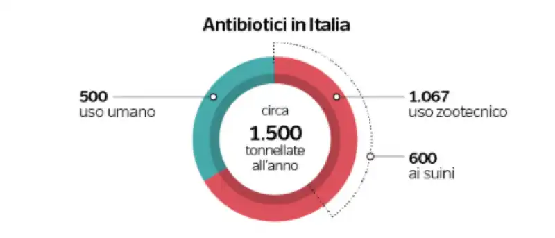 antibiotici   grafico dataroom