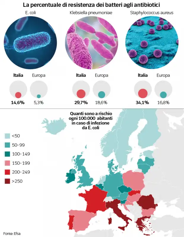 percentuale di resistenza ai batteri   grafico dataroom