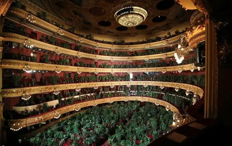 piante in platea al gran teatro del liceu di barcellona 12