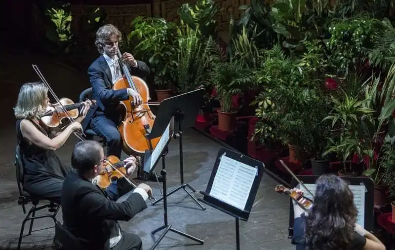 piante in platea al gran teatro del liceu di barcellona 14