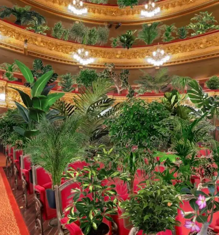 piante in platea al gran teatro del liceu di barcellona 7