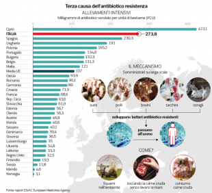 terza causa dell'antibiotico resistenza grafico dataroom