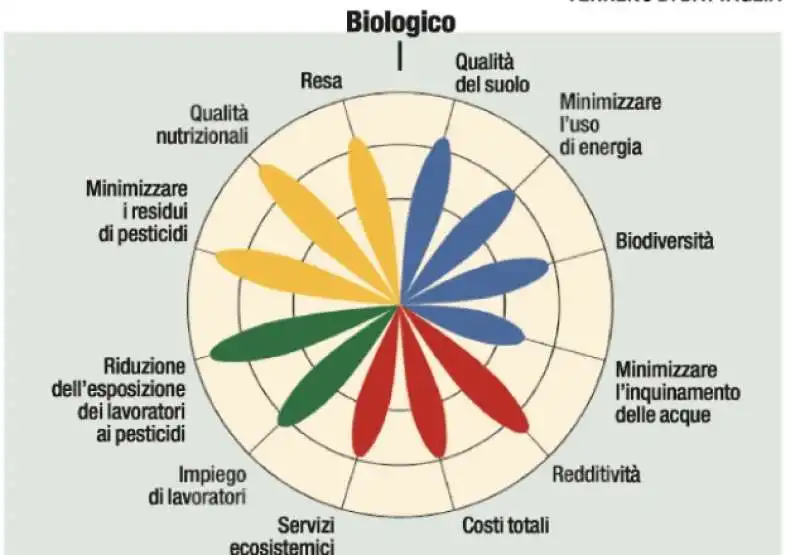 AGRICOLTURA BIO