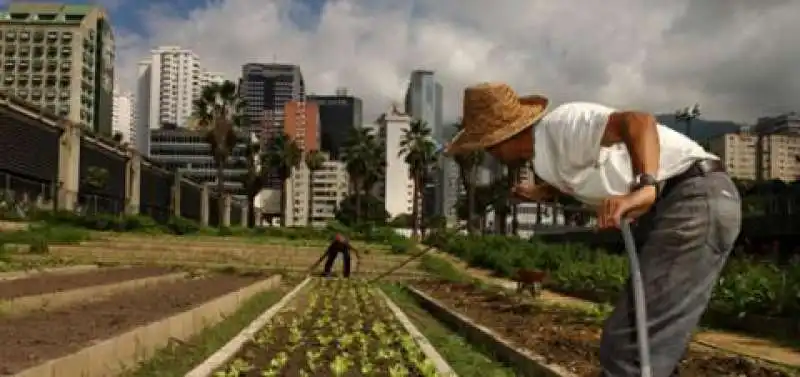 agricultura biodinamica